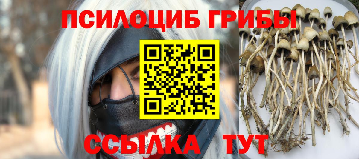 Галлюциногенные грибы прущие грибы Саратов