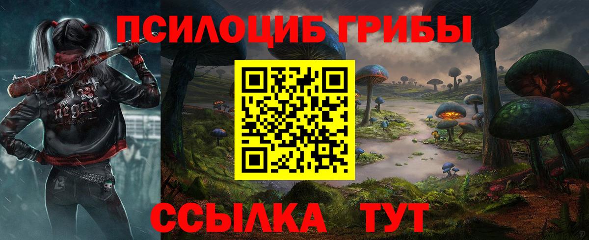 Галлюциногенные грибы GOLDEN TEACHER  Галлюциногенные грибы Psilocybine cubensis  купить наркоту  Вход с VPN  Саратов 